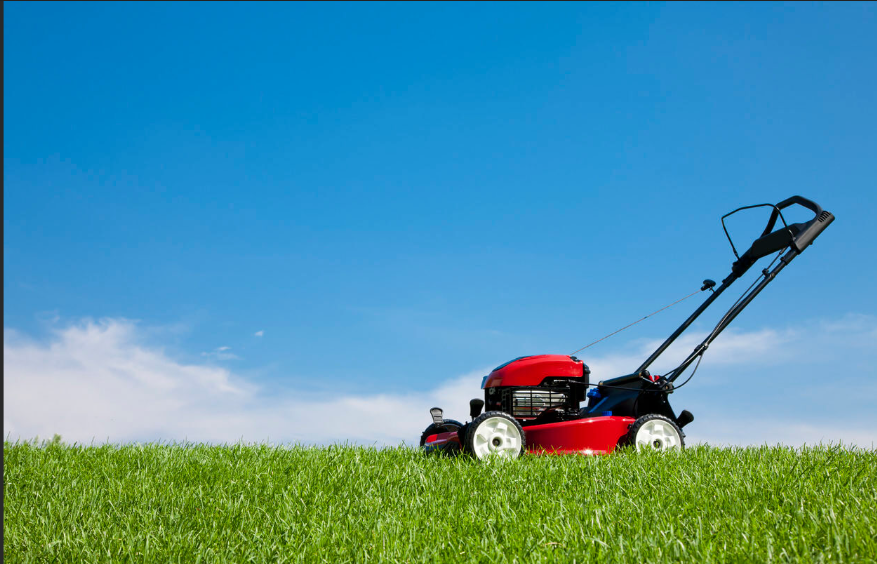 Lawn Maintenance